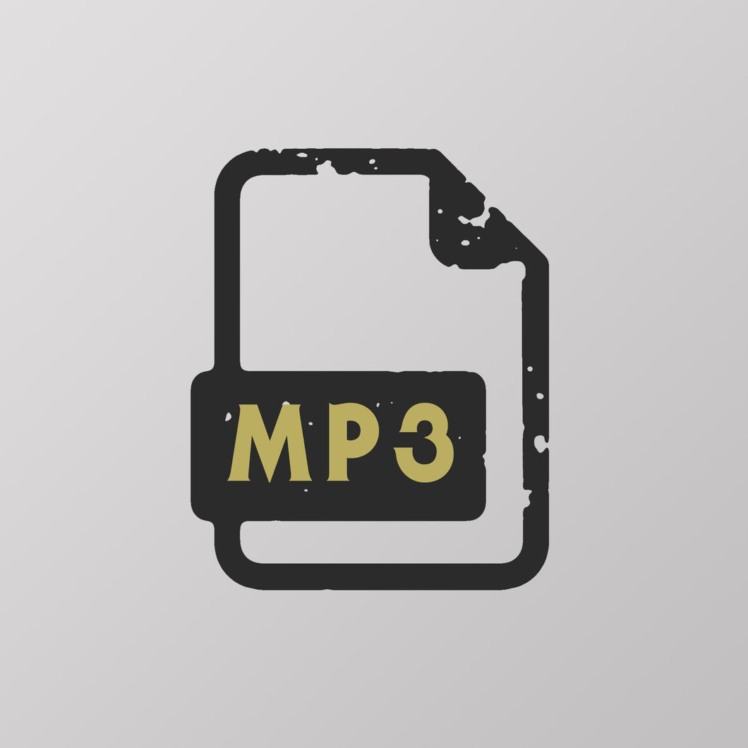 MP3 Digital Copy of the OMNI DOUBLE ALBUM